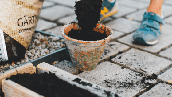 Here Are Some Best Gardening In Early Childhood Education You Should Know